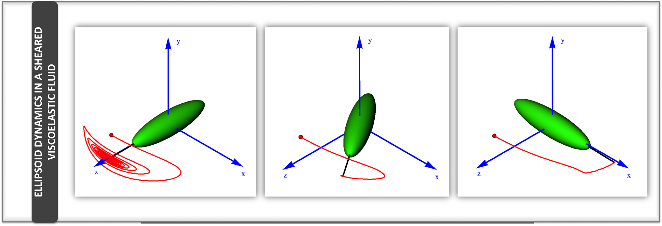 The dynamics of an ellipsoidal particle in a viscoelastic fluid under shear flow is studied