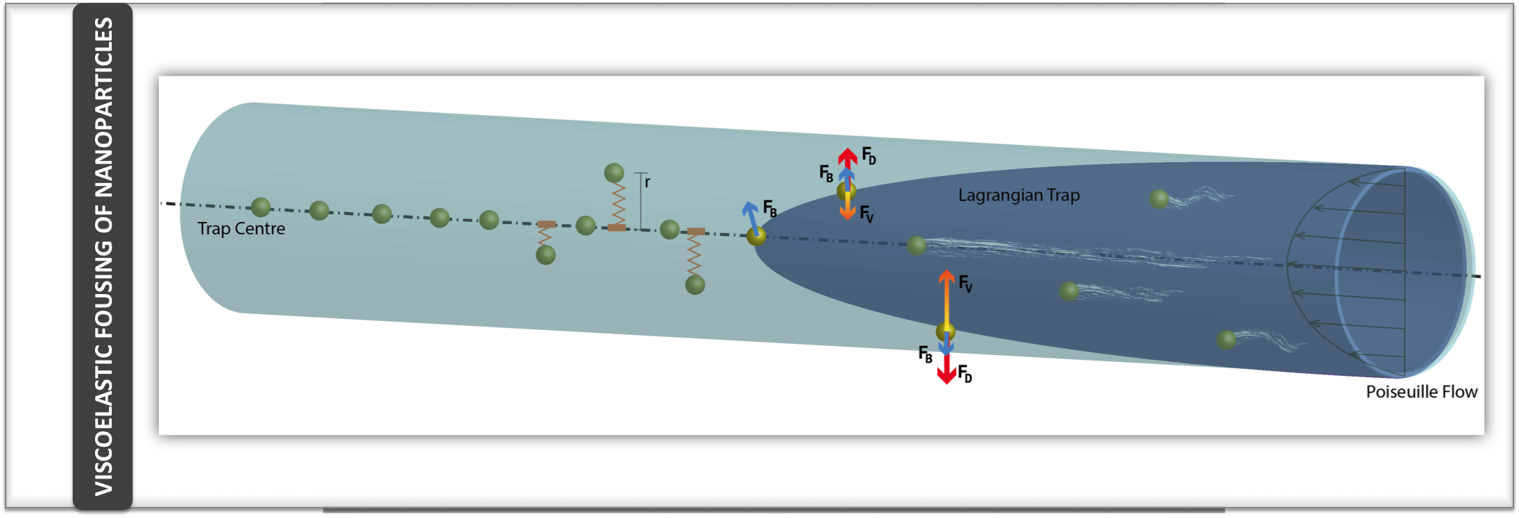 Fluid viscoelasticity can align nanoparticles in a cylindrical microchannel