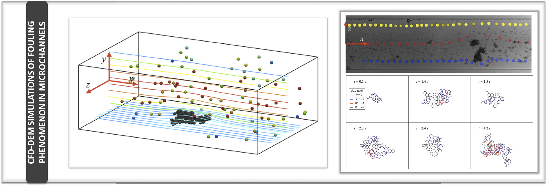 The fouling phenomenon at a microchannel wall is studied by CDF-DEM simulations