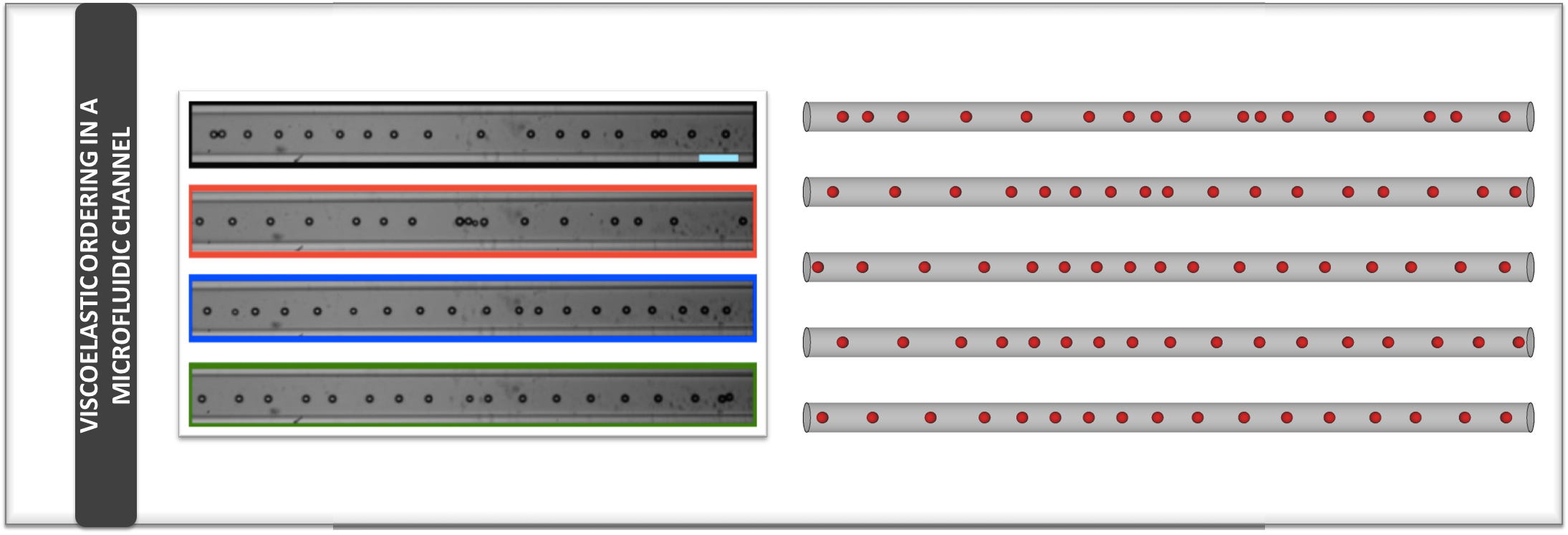 Fluid viscoelasticity promotes particle ordering in straight microfluidic channels